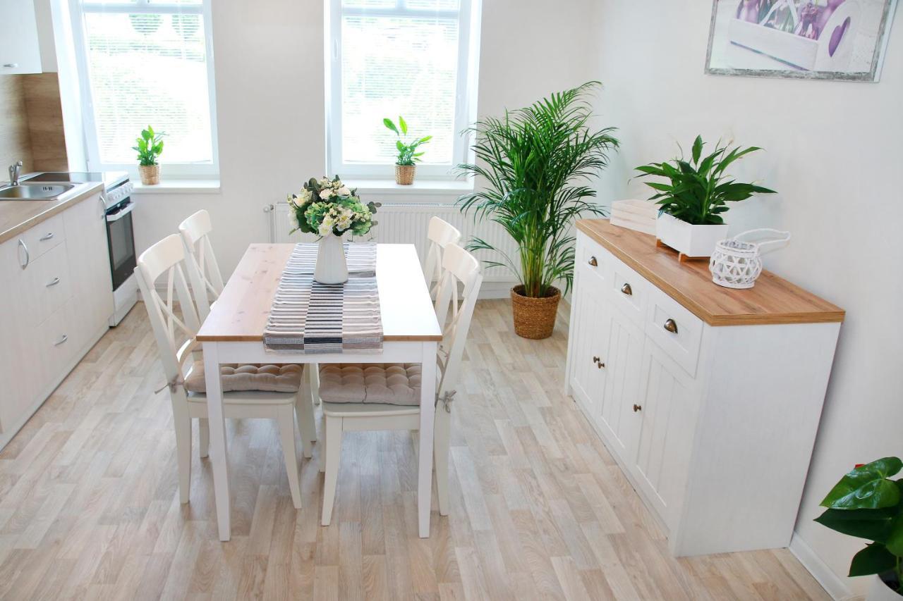 Apartmany Hejdukovi Krásná Lípa エクステリア 写真