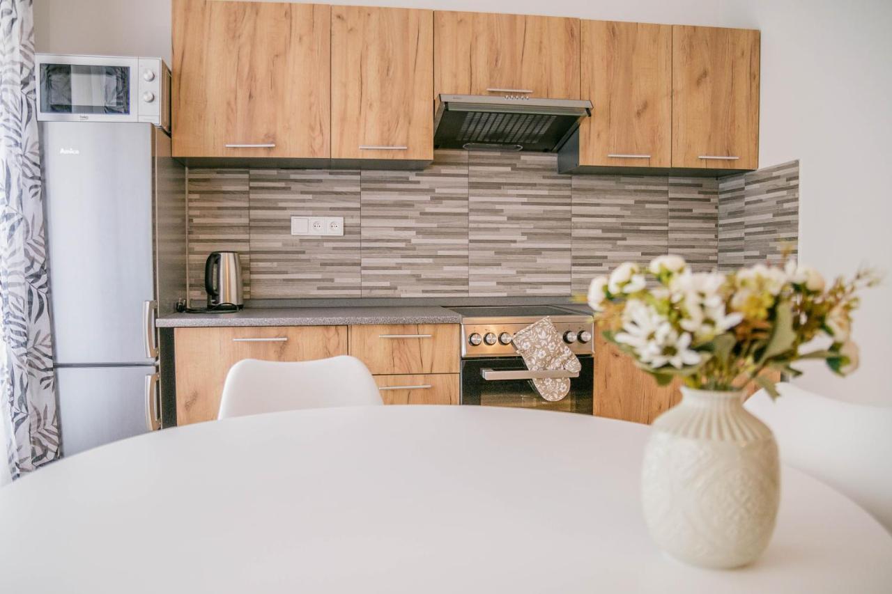 Apartmany Hejdukovi Krásná Lípa エクステリア 写真