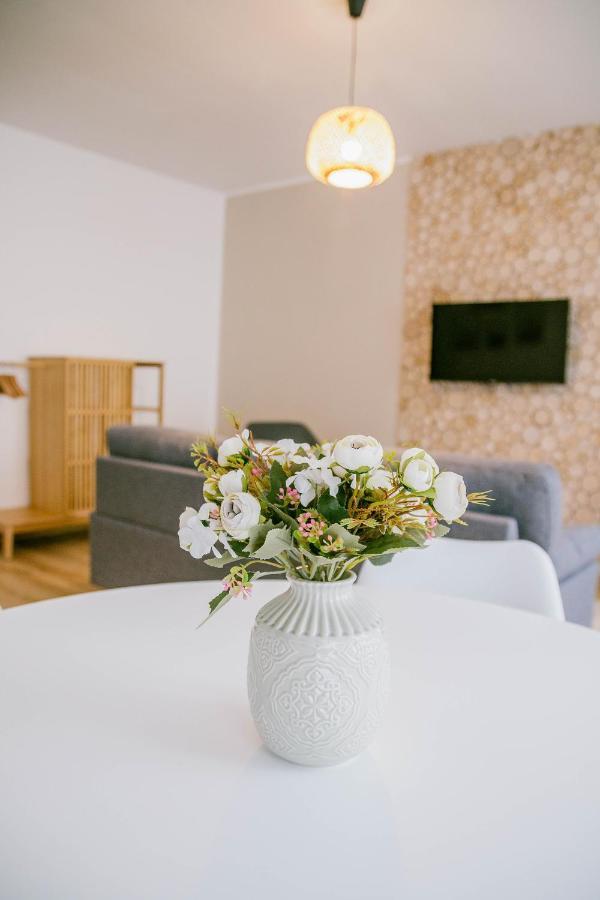Apartmany Hejdukovi Krásná Lípa エクステリア 写真